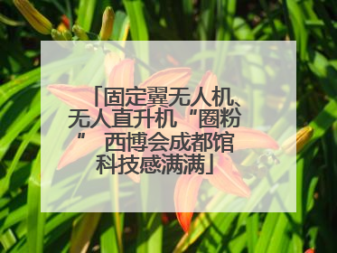 固定翼无人机、无人直升机“圈粉” 西博会成都馆科技感满满