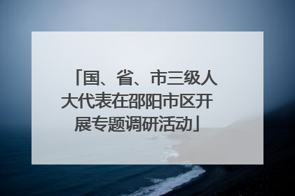 国、省、市三级人大代表在邵阳市区开展专题调研活动