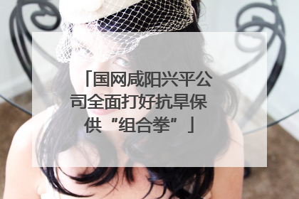 国网咸阳兴平公司全面打好抗旱保供“组合拳”