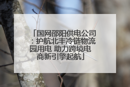 国网邵阳供电公司：护航北丰冷链物流园用电 助力跨境电商新引擎起航
