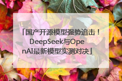 国产开源模型强势追击！DeepSeek与OpenAI最新模型实测对决