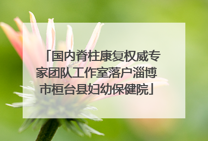 国内脊柱康复权威专家团队工作室落户淄博市桓台县妇幼保健院