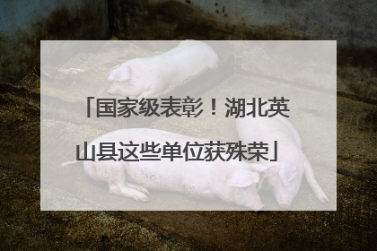 国家级表彰！湖北英山县这些单位获殊荣