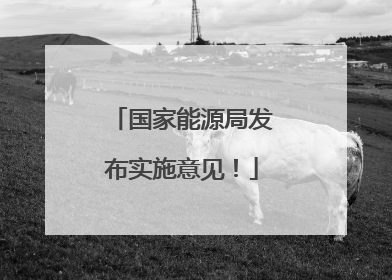 国家能源局发布实施意见！