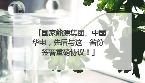 国家能源集团、中国华电，先后与这一省份签署重磅协议！