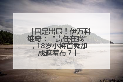 国足出局！伊万科维奇：“责任在我”，18岁小将首秀却成遮羞布？