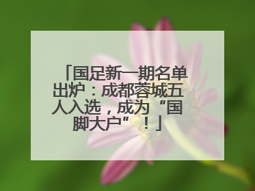 国足新一期名单出炉：成都蓉城五人入选，成为“国脚大户”！