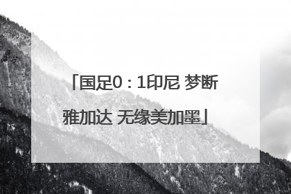 国足0∶1印尼 梦断雅加达 无缘美加墨