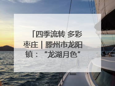 四季流转 多彩枣庄｜滕州市龙阳镇：“龙湖月色”向日葵花海 绘就乡村振兴新画卷