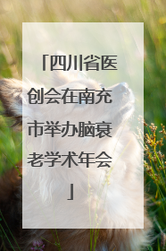 四川省医创会在南充市举办脑衰老学术年会