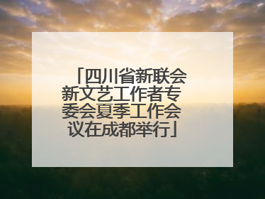 四川省新联会新文艺工作者专委会夏季工作会议在成都举行