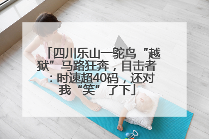 四川乐山一鸵鸟“越狱”马路狂奔，目击者：时速超40码，还对我“笑”了下