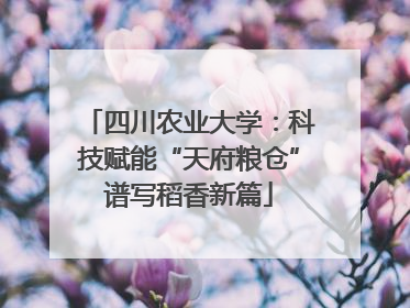 四川农业大学：科技赋能“天府粮仓”谱写稻香新篇