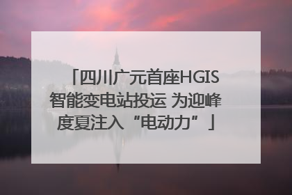 四川广元首座HGIS智能变电站投运 为迎峰度夏注入“电动力”