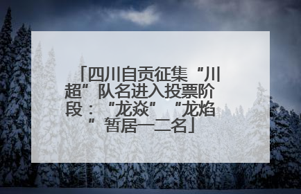 四川自贡征集“川超”队名进入投票阶段：“龙焱”“龙焰”暂居一二名
