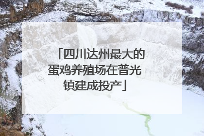 四川达州最大的蛋鸡养殖场在普光镇建成投产