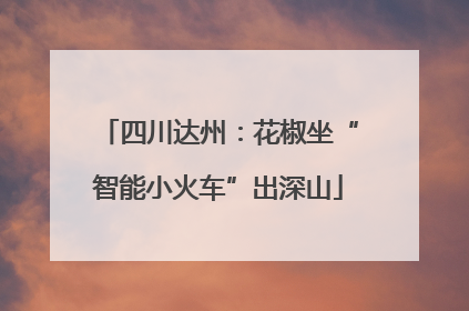 四川达州：花椒坐“智能小火车”出深山