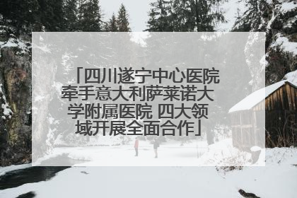四川遂宁中心医院牵手意大利萨莱诺大学附属医院 四大领域开展全面合作