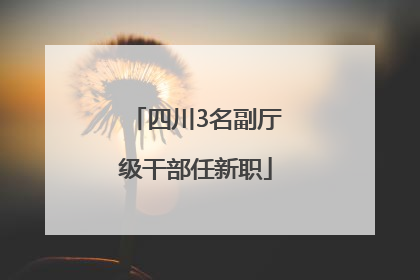 四川3名副厅级干部任新职