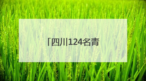 四川124名青少年竞技越野滑轮赛场 “星火杯”圆满落幕