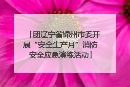 团辽宁省锦州市委开展“安全生产月”消防安全应急演练活动