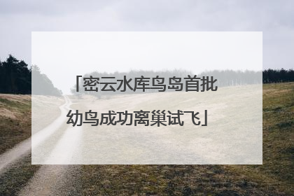 密云水库鸟岛首批幼鸟成功离巢试飞