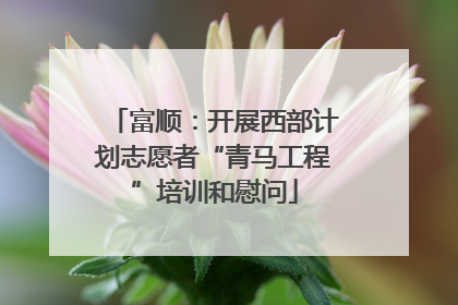富顺：开展西部计划志愿者“青马工程”培训和慰问