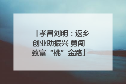 孝昌刘明：返乡创业助振兴 勇闯致富“桃”金路