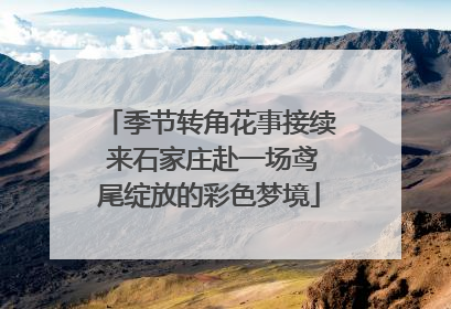 季节转角花事接续 来石家庄赴一场鸢尾绽放的彩色梦境