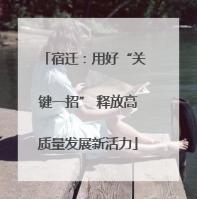 宿迁：用好“关键一招” 释放高质量发展新活力