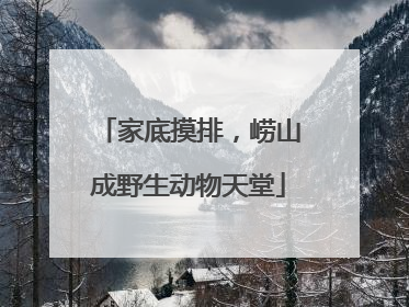 家底摸排，崂山成野生动物天堂