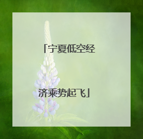 宁夏低空经济乘势起飞