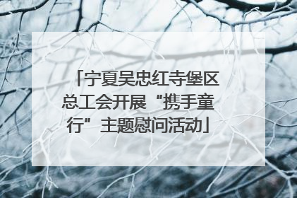 宁夏吴忠红寺堡区总工会开展“携手童行”主题慰问活动