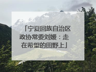 宁夏回族自治区政协常委刘媛：走在希望的田野上