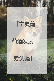 宁夏葡萄酒发展势头强