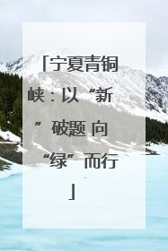 宁夏青铜峡：以“新”破题 向“绿”而行