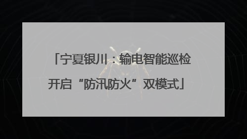 宁夏银川：输电智能巡检开启“防汛防火”双模式