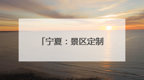 宁夏：景区定制安防机器狗亮相镇北堡西部影城