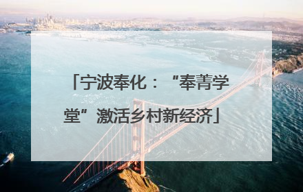 宁波奉化：“奉菁学堂”激活乡村新经济