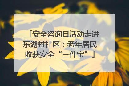 安全咨询日活动走进东湖村社区：老年居民收获安全“三件宝”