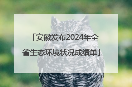 安徽发布2024年全省生态环境状况成绩单