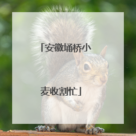 安徽埇桥小麦收割忙