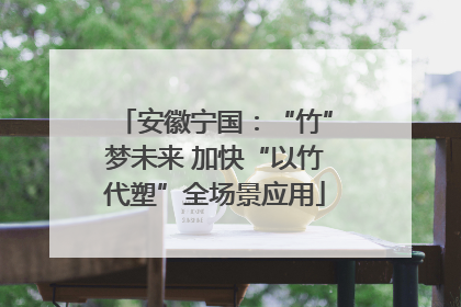 安徽宁国：“竹”梦未来 加快“以竹代塑”全场景应用