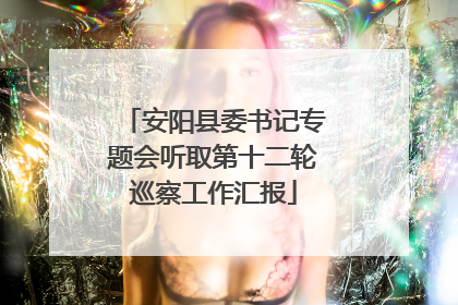 安阳县委书记专题会听取第十二轮巡察工作汇报