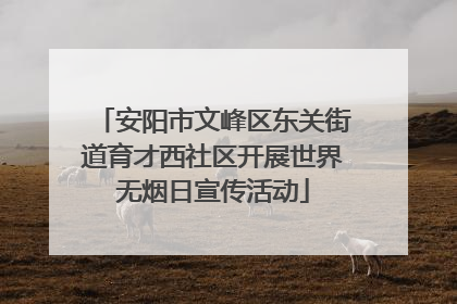 安阳市文峰区东关街道育才西社区开展世界无烟日宣传活动