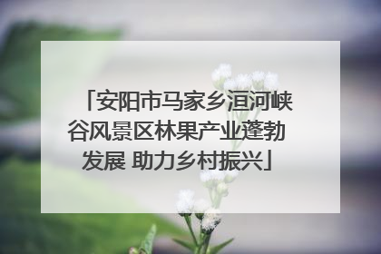 安阳市马家乡洹河峡谷风景区林果产业蓬勃发展 助力乡村振兴
