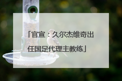 官宣：久尔杰维奇出任国足代理主教练