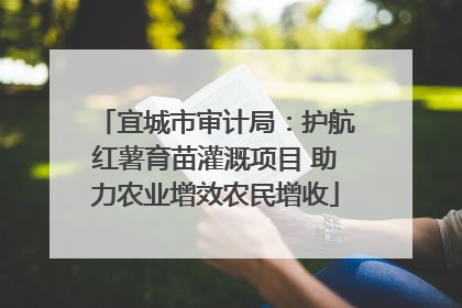 宜城市审计局：护航红薯育苗灌溉项目 助力农业增效农民增收