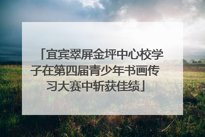 宜宾翠屏金坪中心校学子在第四届青少年书画传习大赛中斩获佳绩