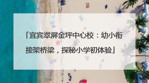 宜宾翠屏金坪中心校：幼小衔接架桥梁，探秘小学初体验